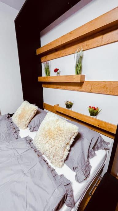 Moderny Apartman S Parkovanim براتسيلافا المظهر الخارجي الصورة